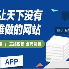 建站宝盒与网站推广 广东耐思尼克助力企业高效拓展网络业务