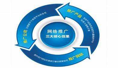 衢州SEO网络推广代理价格详解（2024年10月更新）
